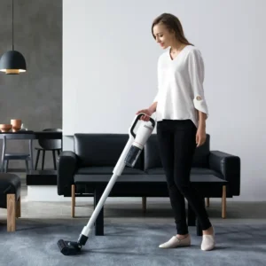 Alternative view of Roidmi RS40 test, anmeldelse og pris