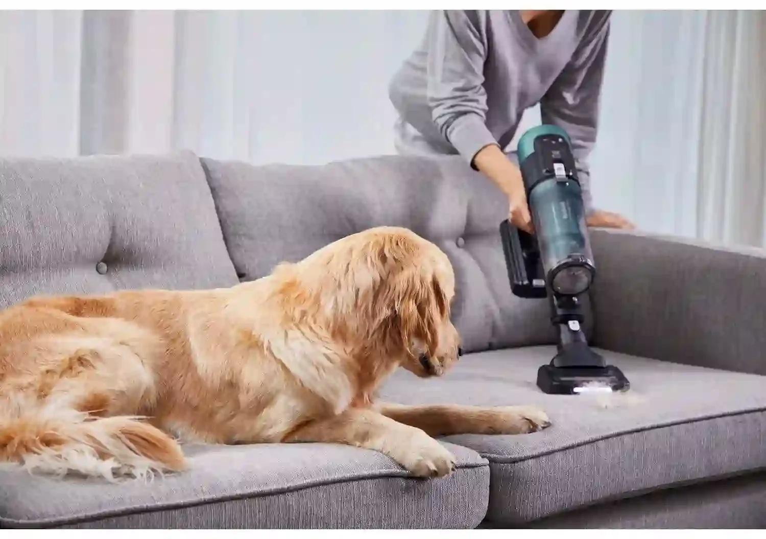 Tefal X-Force 14.80 Flex Animal Aqua Test, Anmeldelser Og Priser - Billede 3